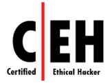 Certified Ethical Hacker (CEH) certification logo