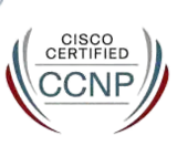 Certified Network Professional (CCNP) Certified Network Professional (CCNP) certification logo
