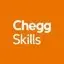Chegg Skills logo