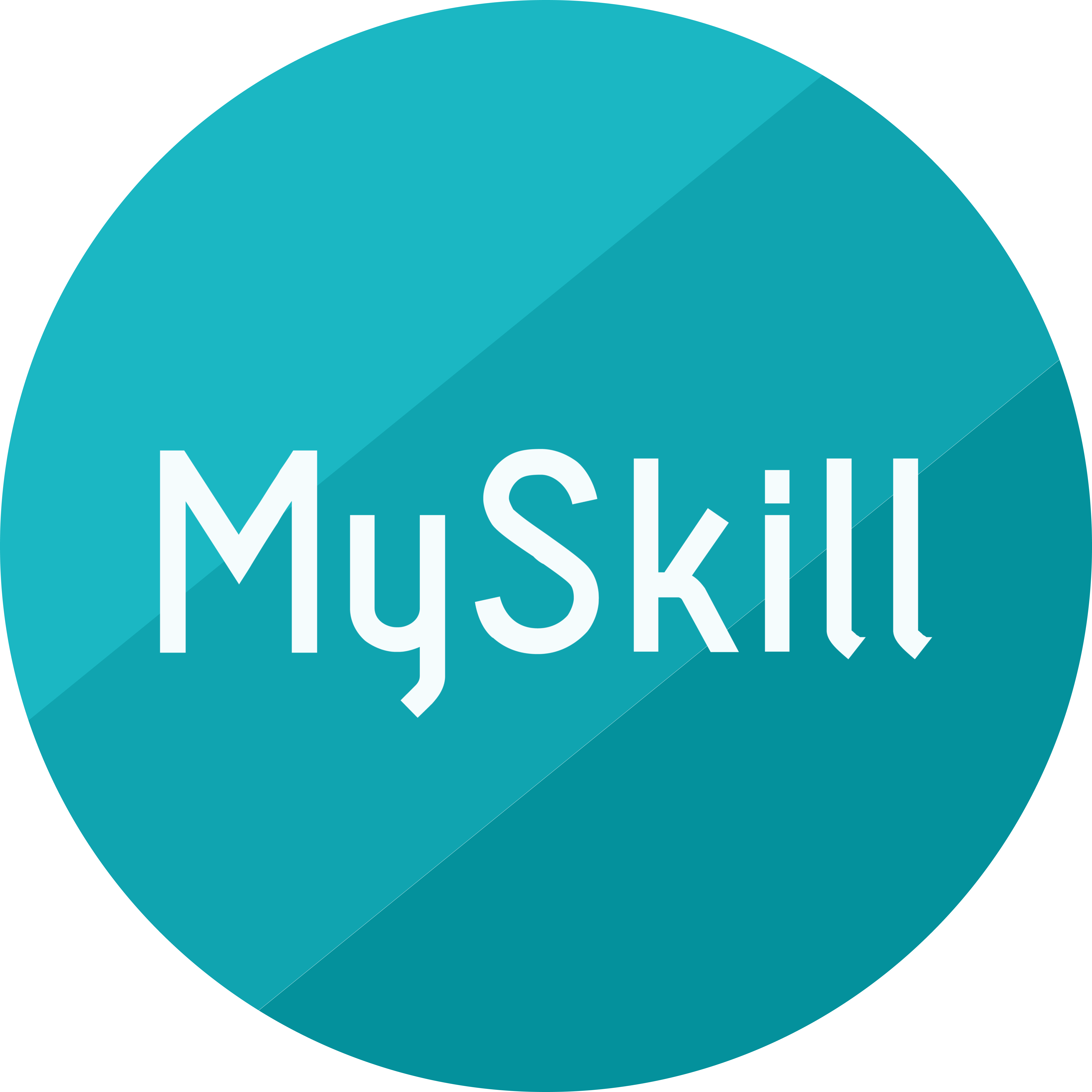 MySkill Logo